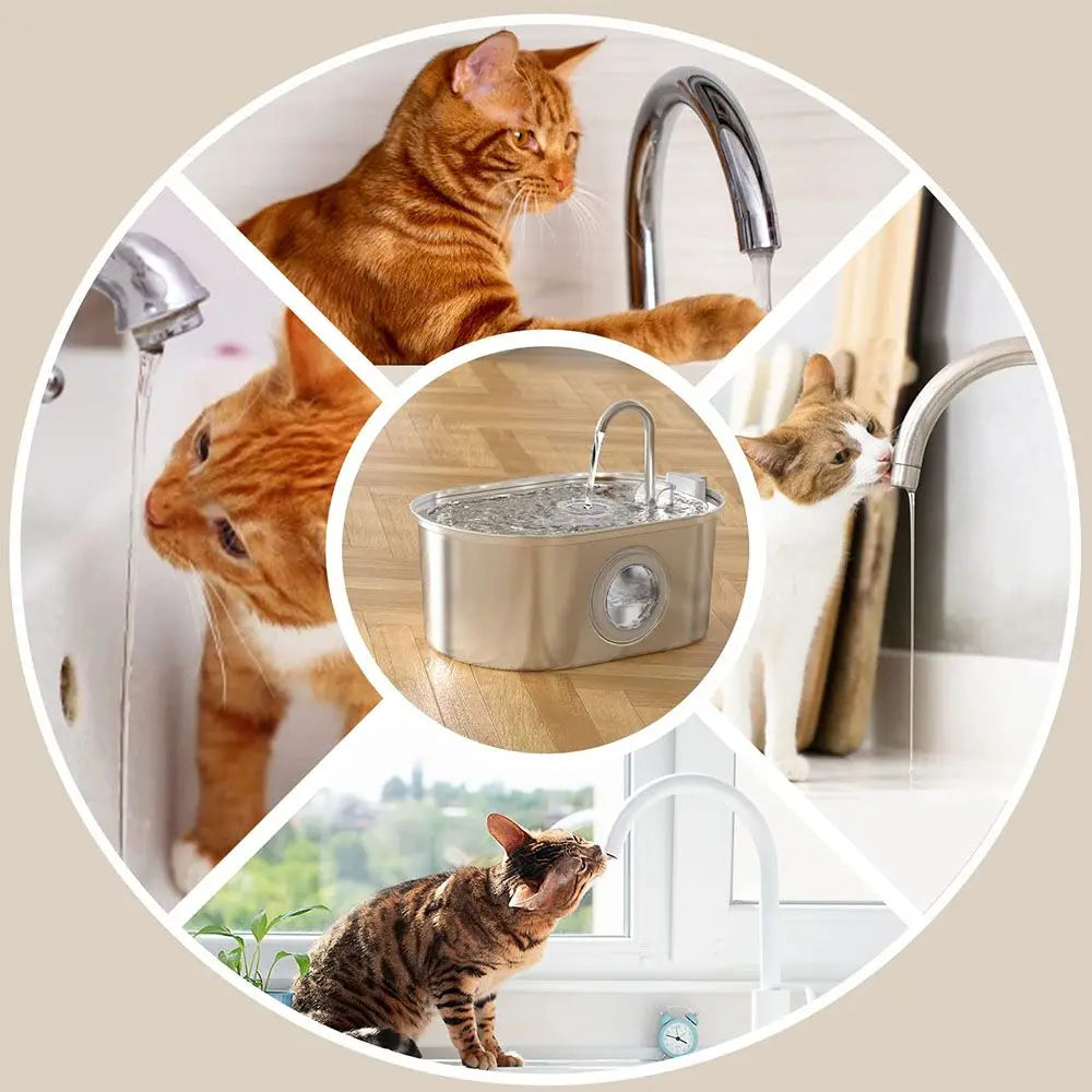 3.2L Pet Water Feeder with Transparent Window Silent Filter with Faucet Stainless Steel Automatic Dog Drinking Fountain